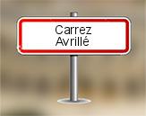 Loi Carrez à