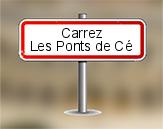 Loi Carrez à